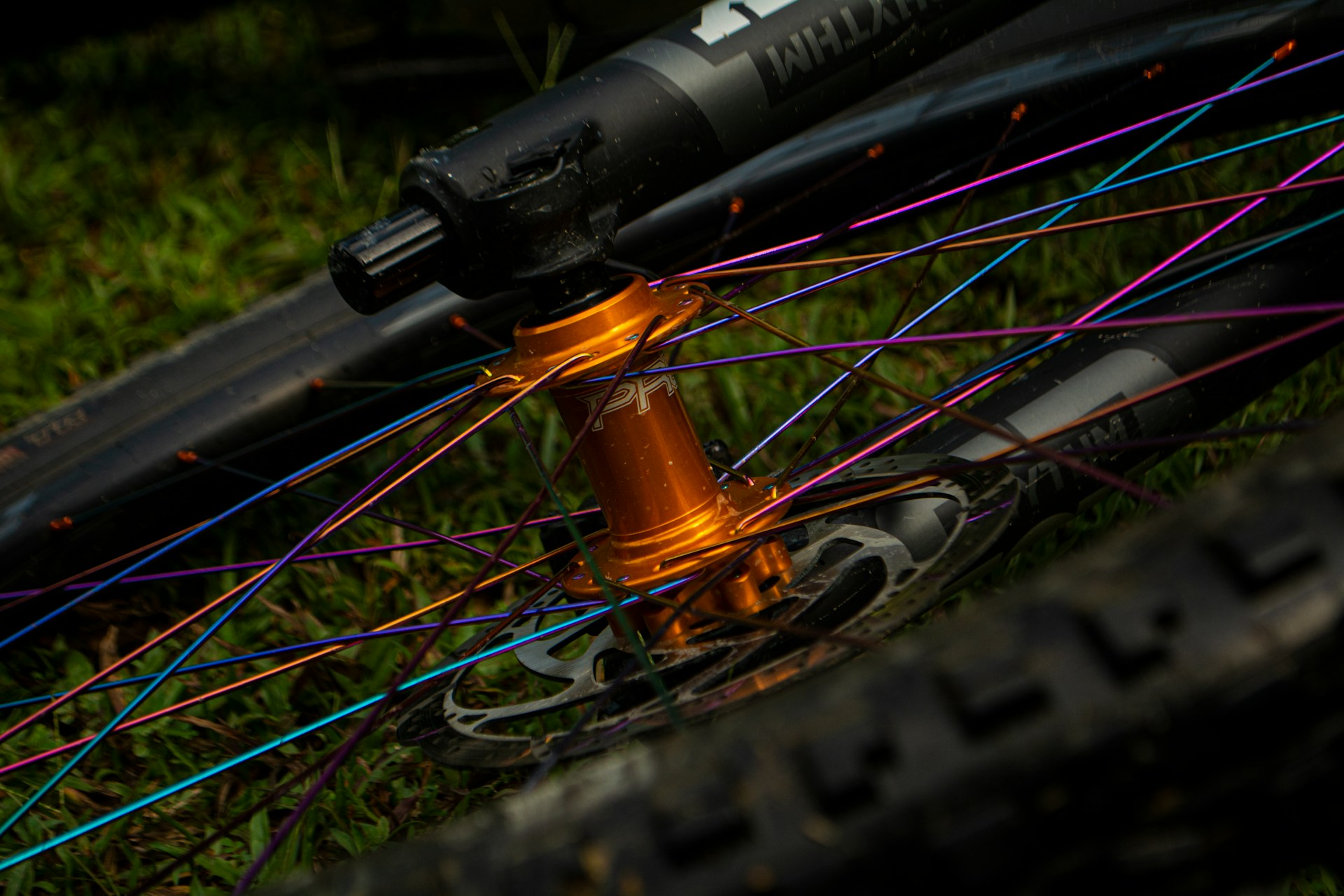 Freni a disco della mountain bike che fischiano: perché?