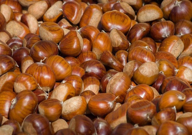 castagne in piemonte