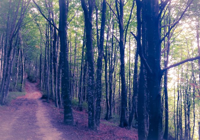 Mugello in autunno