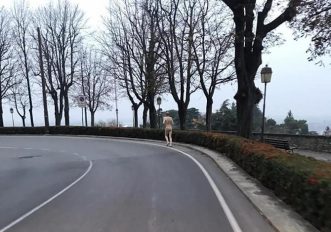 Corre nudo da Seriate a Bergamo Alta: i Carabinieri lo portano in ospedale