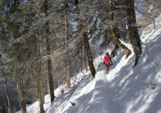 Impianti chiusi e niente sci: cosa fare in montagna?