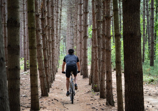 Buono mobilità, come usare il buono sconto del bonus bici su Amazon