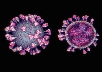 video-coronavirus-3d-come-si-mouve