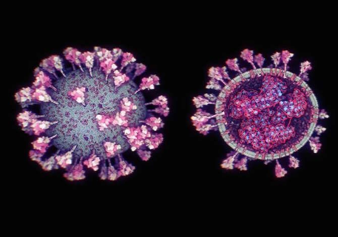 video-coronavirus-3d-come-si-mouve