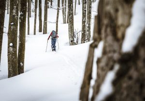 Scialpinismo responsabile: divertirsi preservando la natura