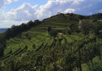 escursioni-in-lombardia-la-traversata-del-monte-orfano-in-franciacorta-sentiero