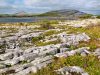 laltopiano-del-burren