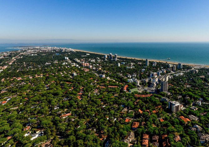 Lignano Sabbiadoro “Tree Cities of the World” per l'impegno nei confronti degli alberi