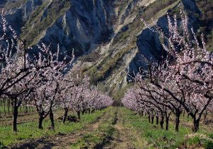 itinerari a piedi al confine tra Emilia e Romagna