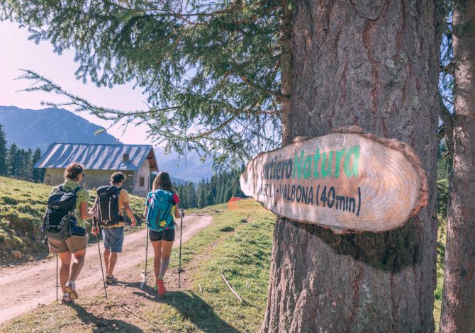 All'Alpe Lusia c'è un percorso wellness gratuito tra le Dolomiti