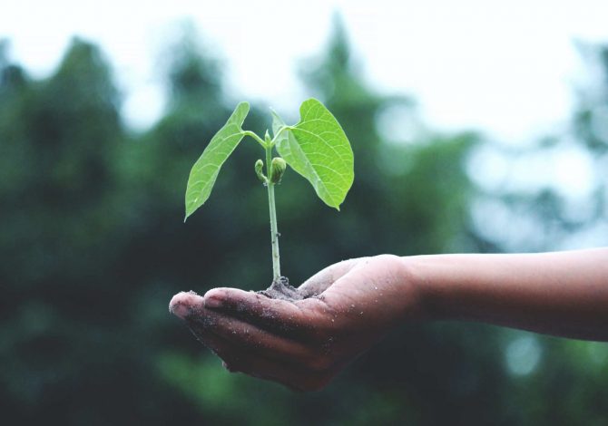 Giornata della Terra: perché se ne parla oggi