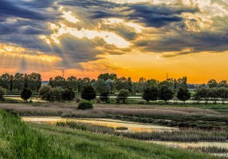 Vacanze in bicicletta in Emilia Romagna: dove andare e cosa fare