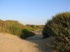 dune-di-castelporziano-lazio