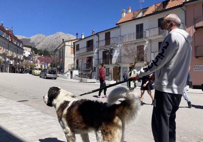 latronico-basilicata-e-il-primo-borgo-per-i-cani