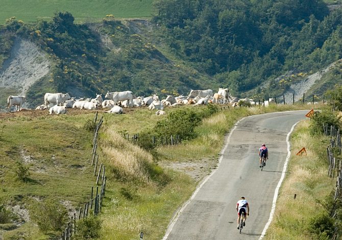 percorsi in bicicletta tra Imola e Faenza