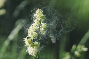 Allergie ai pollini e sport all'aperto