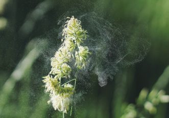 Allergie ai pollini e sport all'aperto