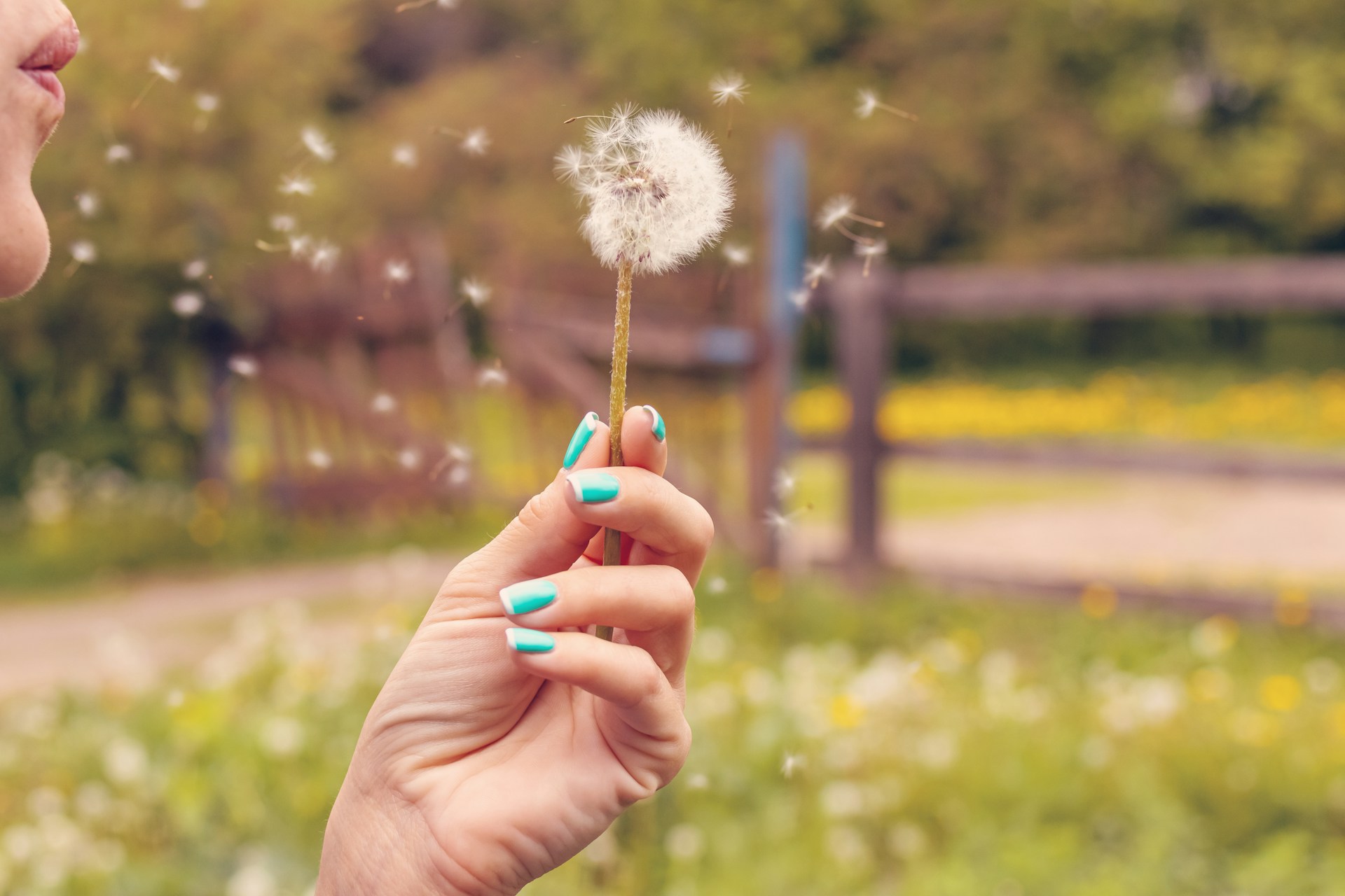Allergie ai pollini e sport all'aperto