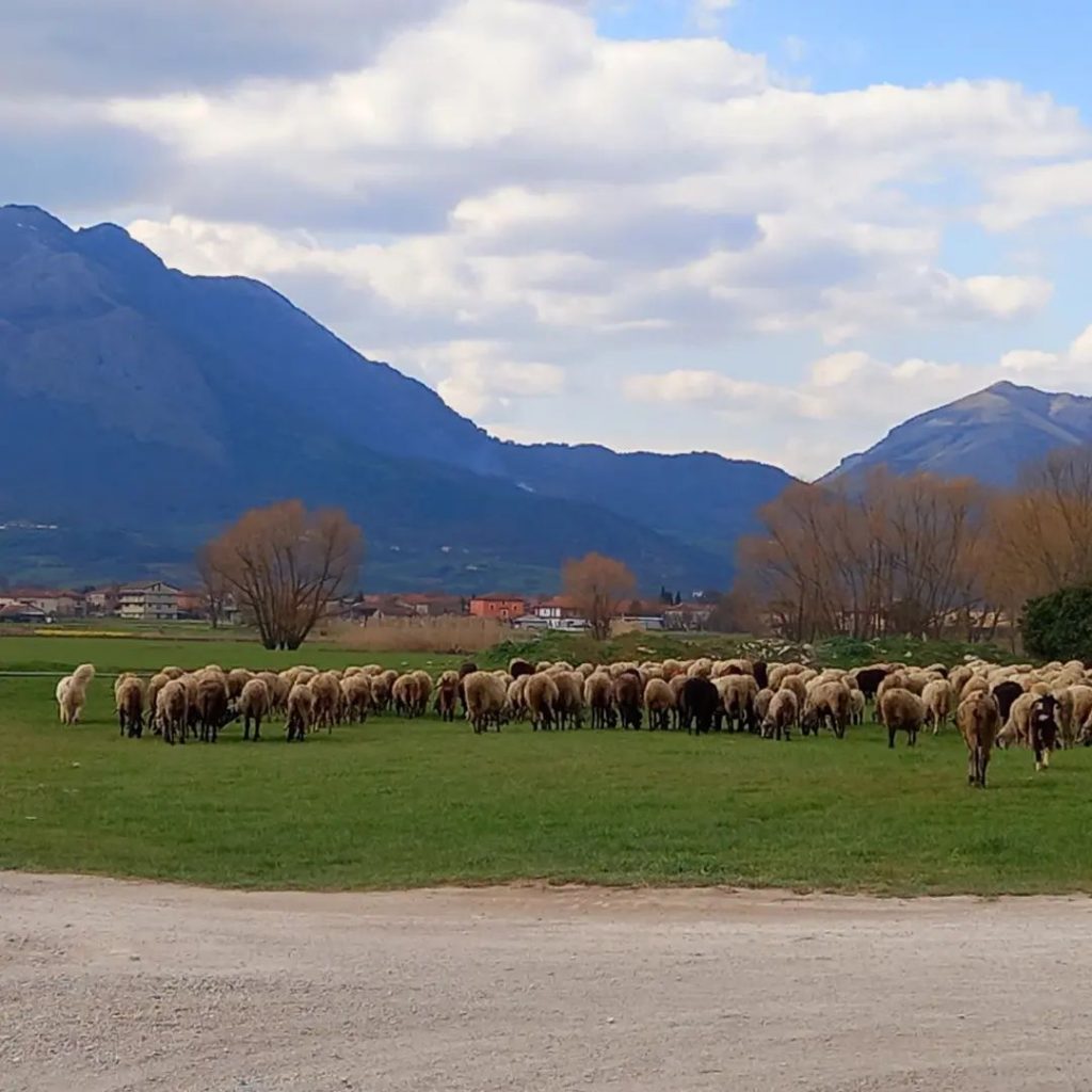 via Silente in bici