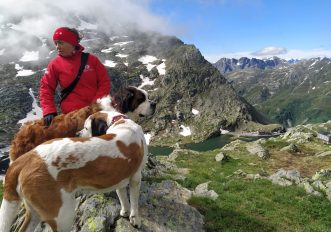 escursioni-in-svizzera-sentieri-gran-san-bernardo-con-i-cani-foto-martino-de-mori-sportoutdoor24