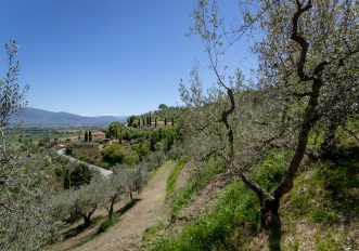 passeggiate-di-gruppo-in-umbria-dove-andare-a-luglio