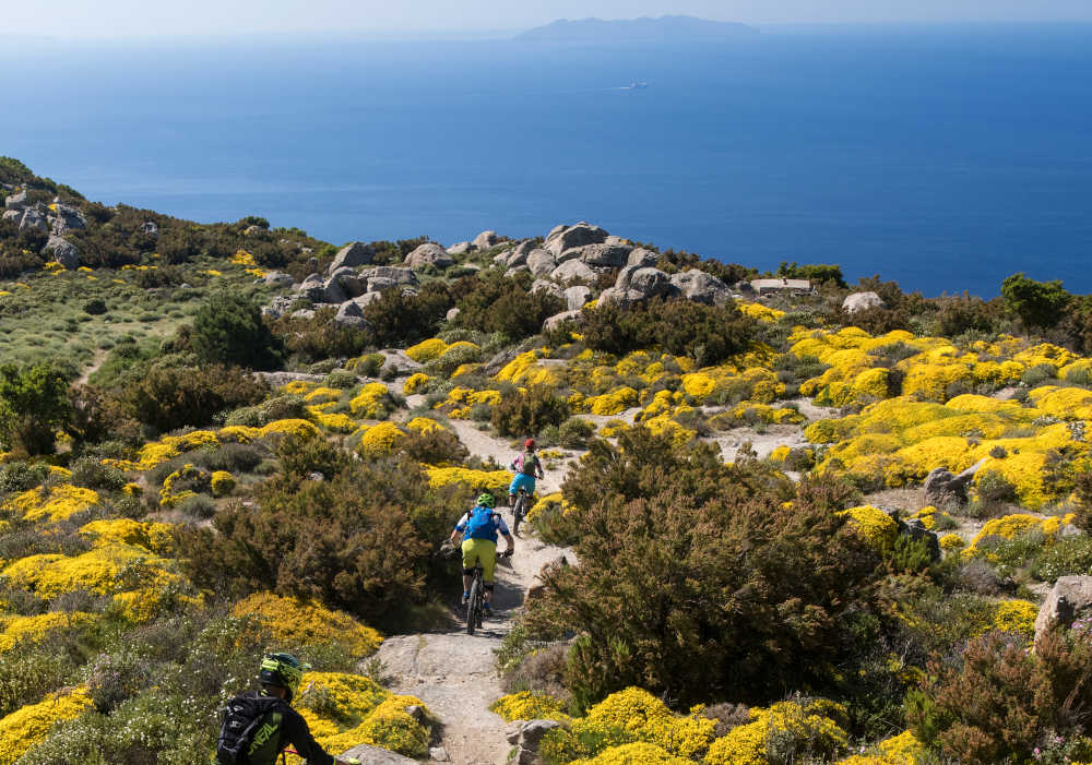 Escursioni all'Elba sulle tracce di Napoleone