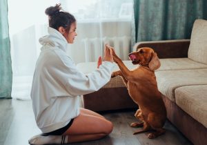 4-motivi-scientifici-per-cui-il-cane-ti-fa-stare-meglio