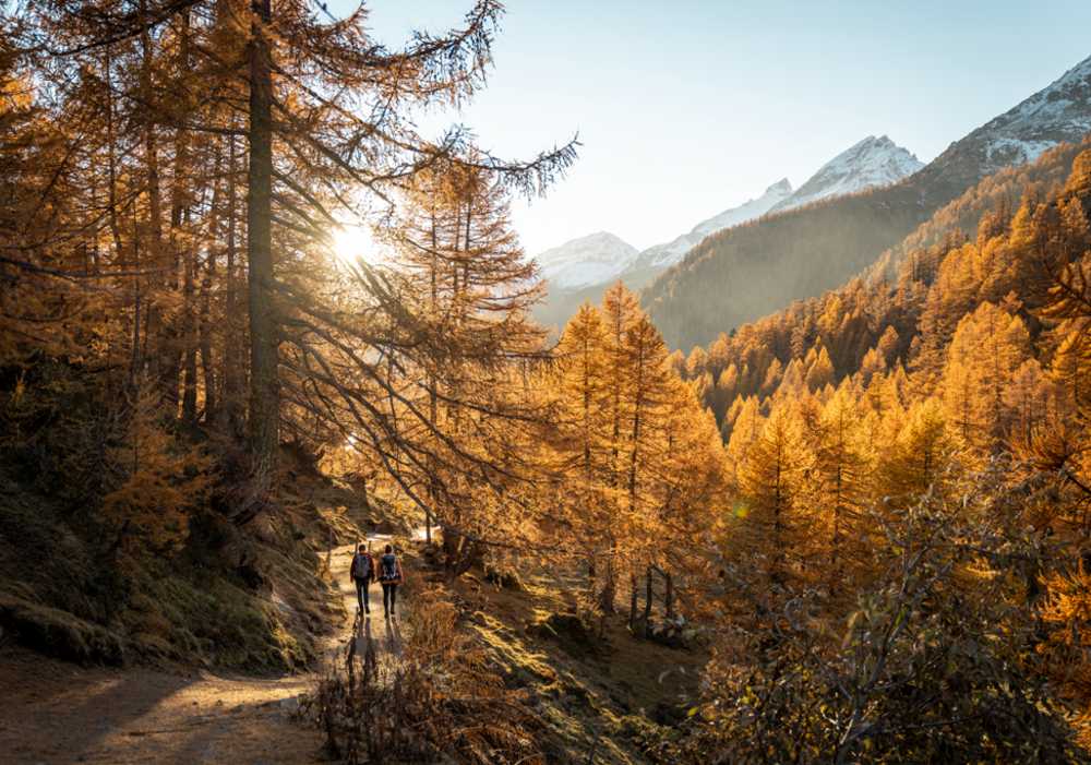 Castagne in Svizzera