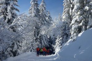 Divieto alle ciaspole sulle piste da sci