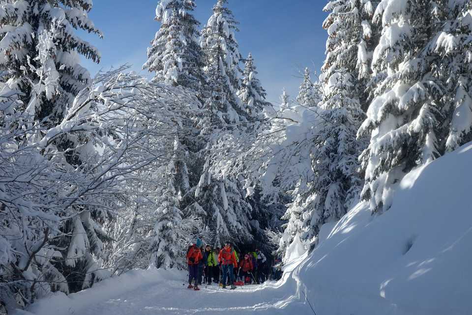 Divieto alle ciaspole sulle piste da sci