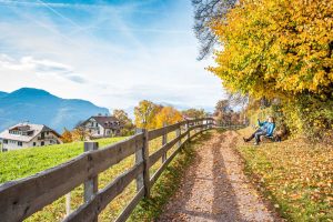 Escursioni d'autunno all’Altipiano del Renon