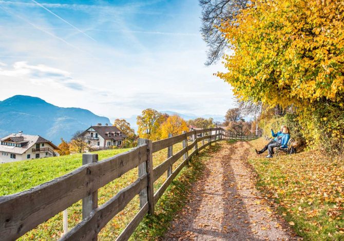 Escursioni d'autunno all’Altipiano del Renon