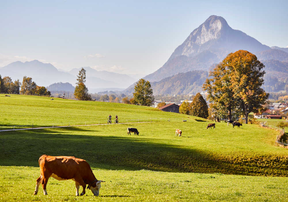 6 weekend a vedere il foliage d'autunno nel suo splendore