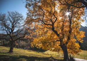 6 weekend a vedere il foliage d'autunno nel suo splendore
