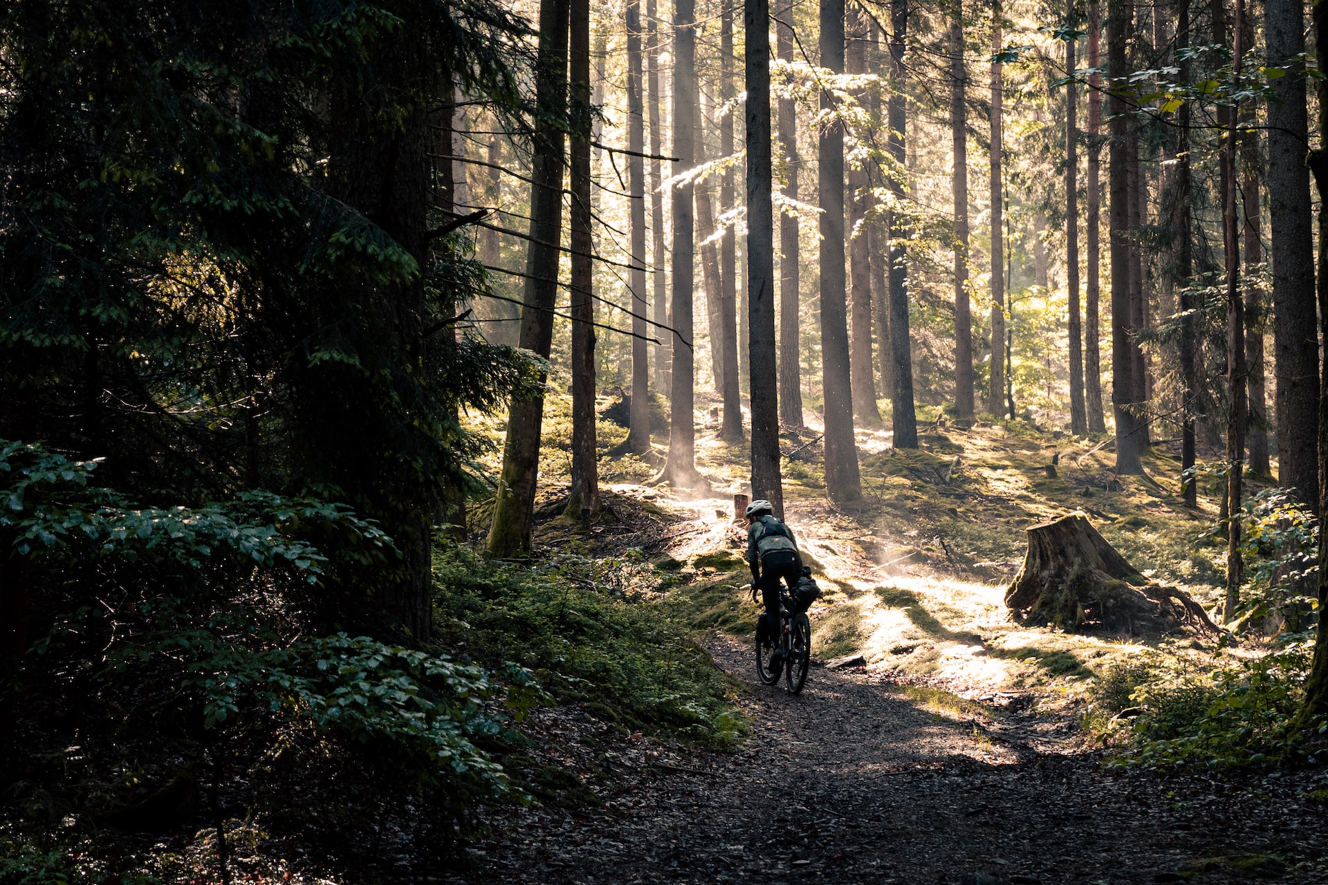 In bici da solo: pro e contro del solo cycling