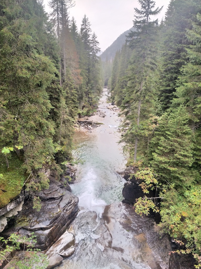 val-di-fiemme-cosa-fare-paneveggio