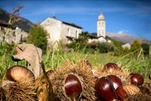 Gite a degustare castagne