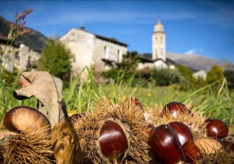 Gite a degustare castagne