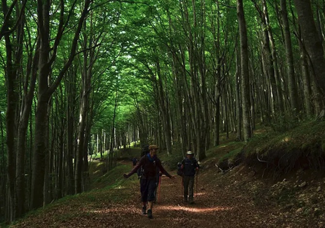 cammini-da-fare-a-ottobre-in-italia-cammino-san-francesco-di-paola