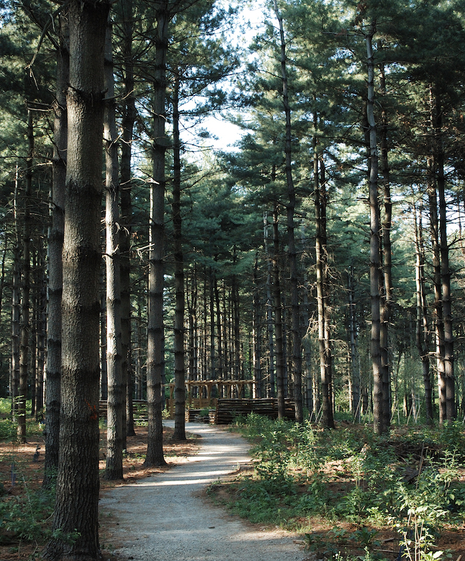 escursioni-in-brianza-bosco-chignolo