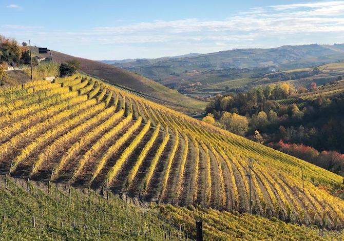 langhe-in-autunno-2-itinerari-in-bici-sulle-strade-del-vino-colline