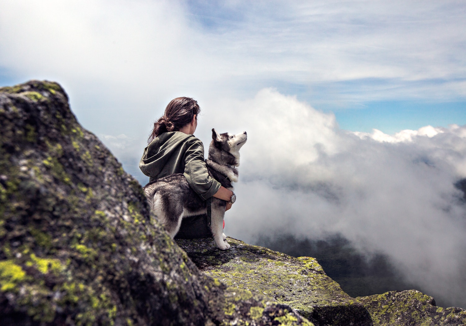Col cane in montagna: le regole e i divieti da conoscere