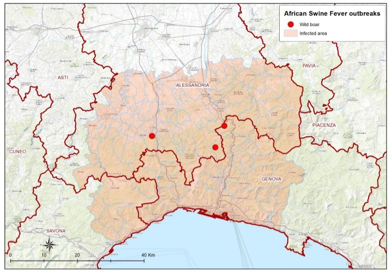 Peste suina: vietate escursioni, trekking e MTB in 114 Comuni tra Liguria e Piemonte