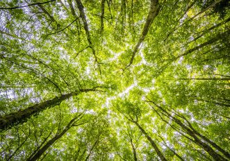 Sostenibilità o Greenwashing? Cosa dicono le Certificazioni eco-green dei capi sportivi
