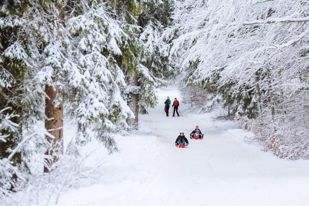 attività di fine inverno da provare