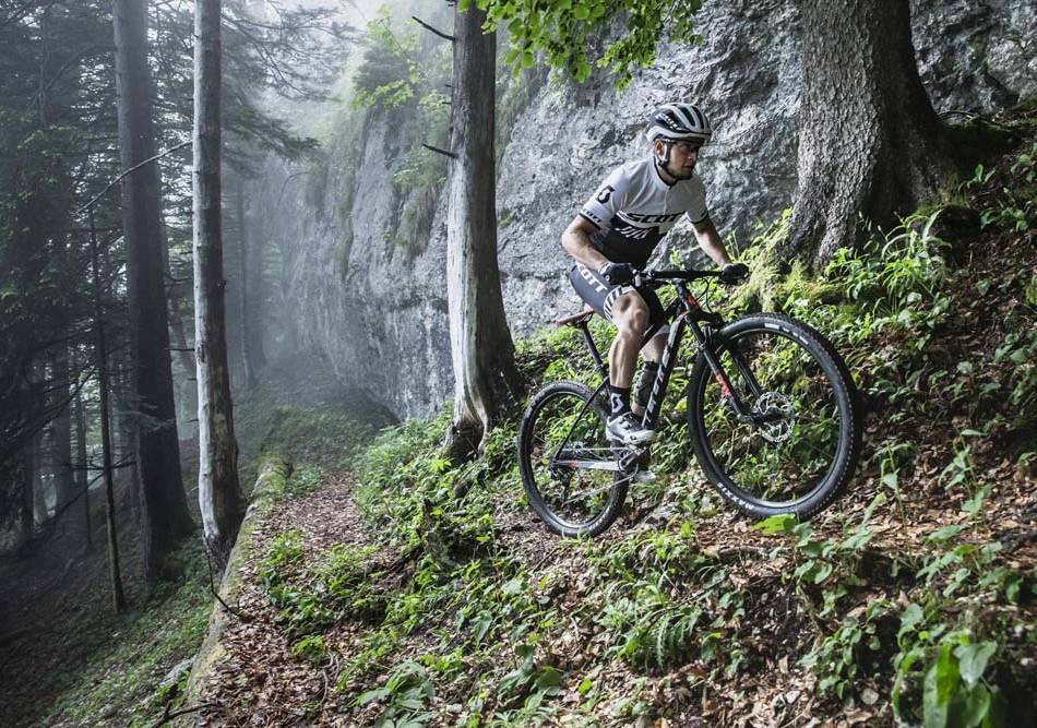 Mountain bike o gravel? Il confronto