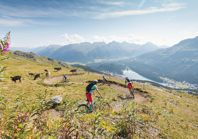 engadina-mtb