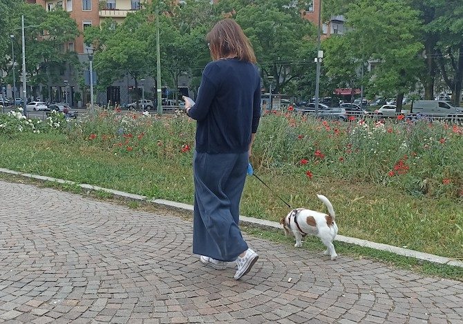 camminare-con-il-cane