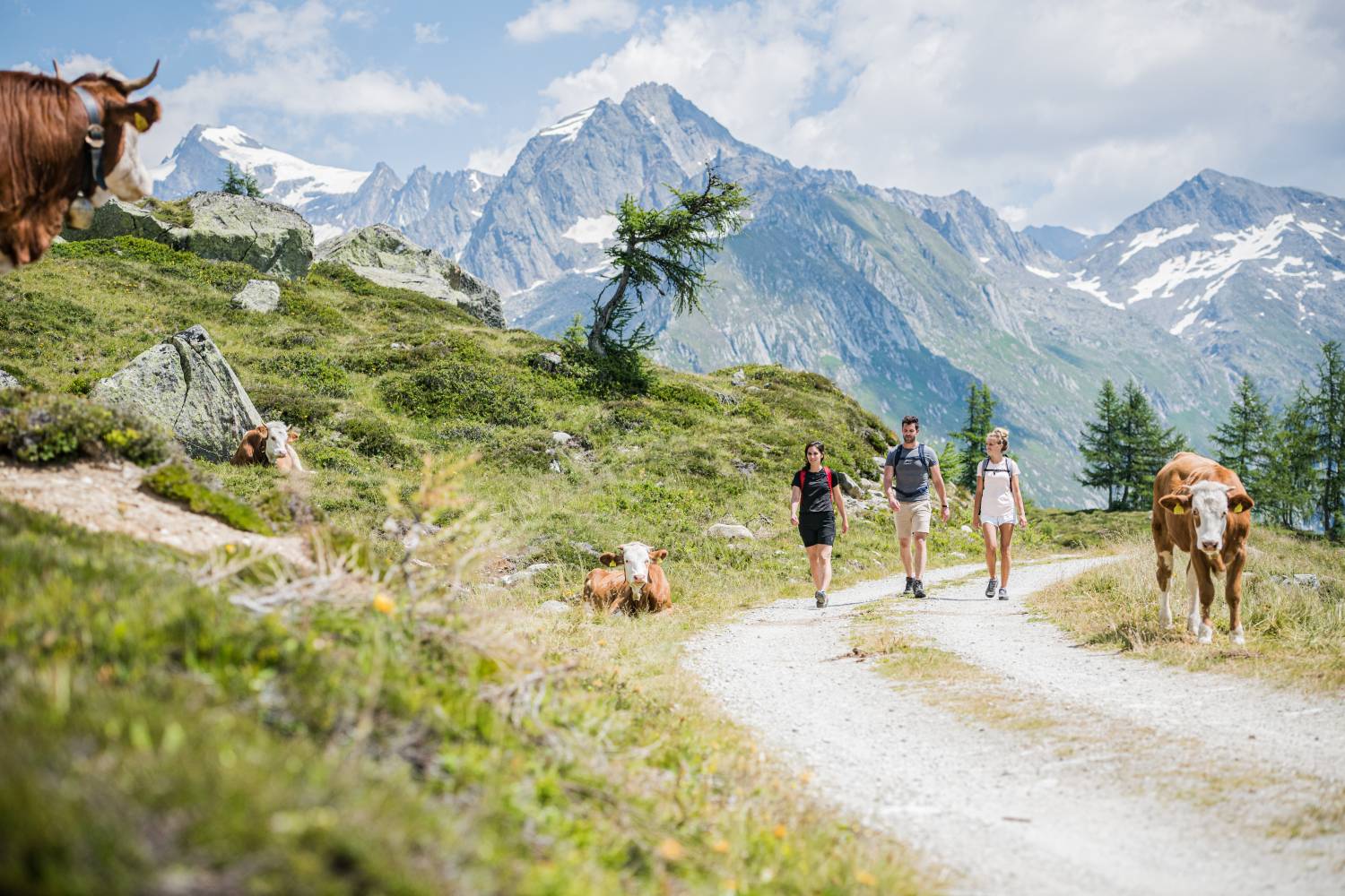 Mindful Mountain Days