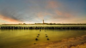 Itinerari in bici sul delta del Po dove vedere gli animali